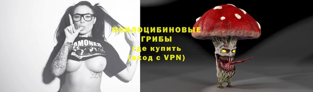 2c-b Вяземский