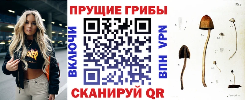 Псилоцибиновые грибы мицелий  Енисейск 